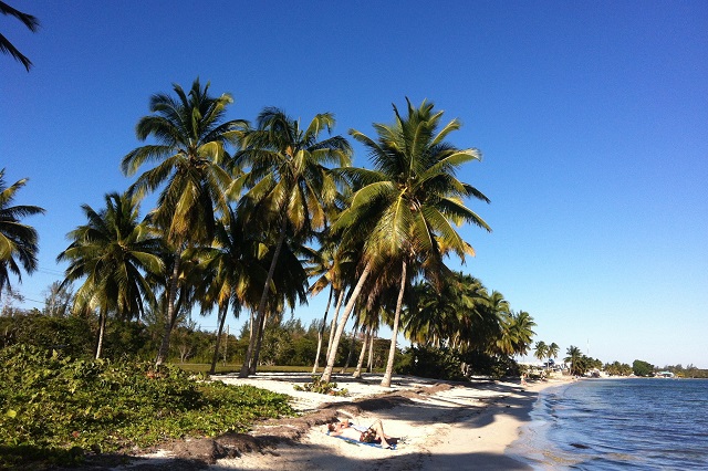 Beach at Casa 46, Ciénaga de Zapata, Matanzas, Cuba