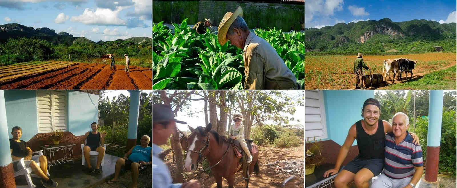 Bellezas y valores del Valle, desde La Casa de Griselda y Reinaldo, Viñales, Pinar del Río, Cuba